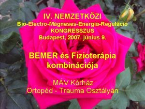 IV NEMZETKZI BioElectroMgnesesEnergiaRegulci KONGRESSZUS Budapest 2007 jnius 9