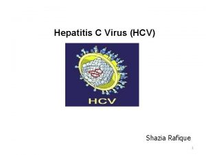 Hepatitis C Virus HCV Shazia Rafique 1 The