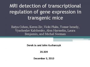 MRI detection of transcriptional regulation of gene expression