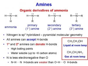 Amines Organic derivatives of ammonia primary 1 amine