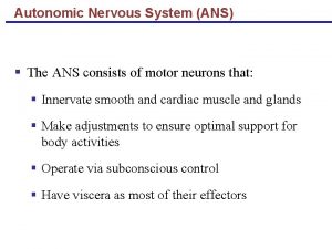 Autonomic Nervous System ANS The ANS consists of