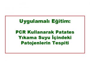 Uygulamal Eitim PCR Kullanarak Patates Ykama Suyu indeki