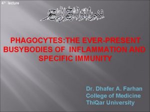 4 th lecture PHAGOCYTES THE EVERPRESENT BUSYBODIES OF