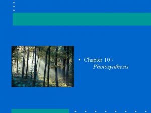 Chapter 10 Photosynthesis Photosynthesis in nature Autotrophs Heterotrophs