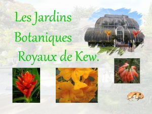 Les Jardins Botaniques Royaux de Kew Jardins botanique