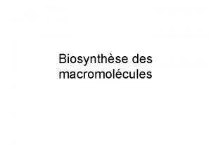 Biosynthse des macromolcules RAPPELS Rappels LADN est la