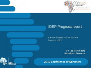 IDEP Progress report Karima Bounemra Ben Soltane Director