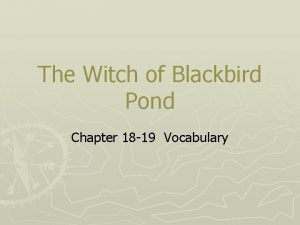 The Witch of Blackbird Pond Chapter 18 19