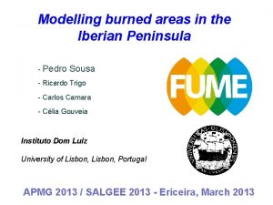Modelling burned areas in the Iberian Peninsula Pedro