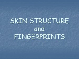 SKIN STRUCTURE and FINGERPRINTS SKIN STRUCTURE SKIN STRUCTURE