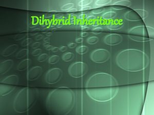 Dihybrid Inheritance Dihybrid Cross This is between organisms
