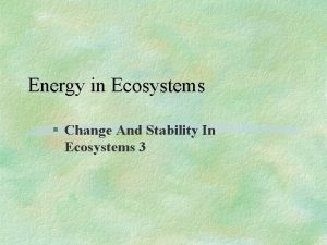 Energy in Ecosystems Change And Stability In Ecosystems