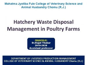 Mahatma Jyotiba Fule College of Veterinary Science and