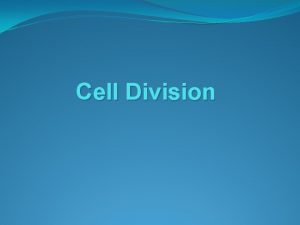 Cell Division What Limits a Cells Size 1