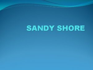 SANDY SHORE INTRODUCTION Sandy shores or beaches occur