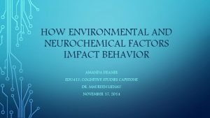 HOW ENVIRONMENTAL AND NEUROCHEMICAL FACTORS IMPACT BEHAVIOR AMANDA