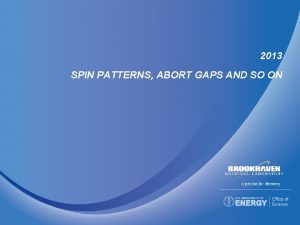 2013 SPIN PATTERNS ABORT GAPS AND SO ON