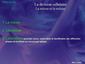 Retour au site La division cellulaire La mitose