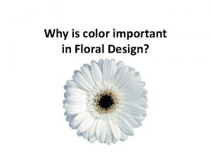 Why is color important in Floral Design What