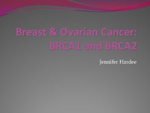 Breast Ovarian Cancer BRCA 1 and BRCA 2