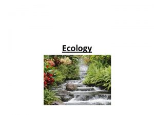 Ecology Ecology Study of the relationships between the