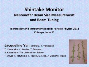 Shintake Monitor Nanometer Beam Size Measurement and Beam