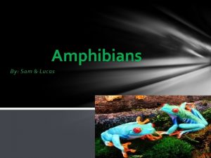 Amphibians By Sam Lucas What makes Amphibians different