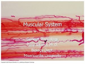 Muscular System General Physiology Tony Serino Ph D