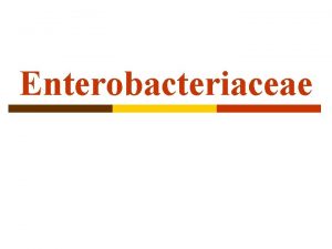 Enterobacteriaceae Introduction p The family Enterobacteriaceae is the