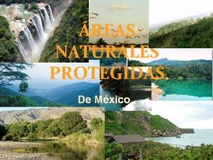 REAS NATURALES PROTEGIDAS De Mxico Qu son y