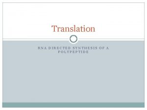 Translation RNA DIRECTED SYNTHESIS OF A POLYPEPTIDE Translation