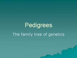 Pedigrees The family tree of genetics Pedigrees I