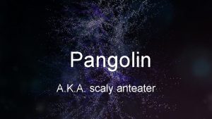 Pangolin A K A scaly anteater Introduction Pangolins