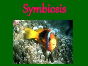 Symbiosis Symbiosis Any two organisms that interact in