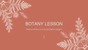 BOTANY LESSON Here is where your presentation begins