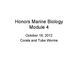 Honors Marine Biology Module 4 October 18 2012