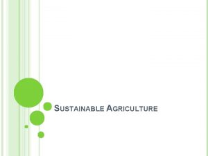 SUSTAINABLE AGRICULTURE What does Sustainable Agriculture mean to