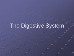 The Digestive System The Digestive System Function Changes