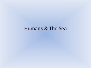 Humans The Sea Evolution of Whales Whaling Humans