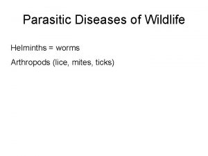 Parasitic Diseases of Wildlife Helminths worms Arthropods lice