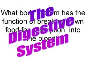 What body system has the function of breaking