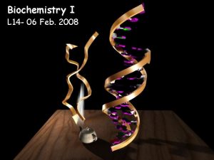 Biochemistry I L 14 06 Feb 2008 Nucleotides