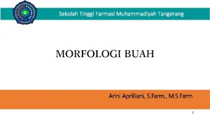 Sekolah Tinggi Farmasi Muhammadiyah Tangerang MORFOLOGI BUAH Arini