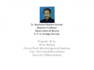 Dr Himanshu Bhushan Jaruhar Assistant Professor Department of