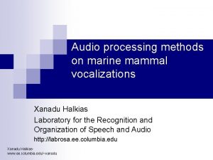 Audio processing methods on marine mammal vocalizations Xanadu