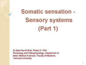 Somatic sensation Sensory systems Part 1 Dr Ejlal
