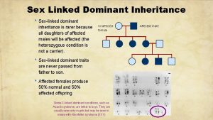 Sex Linked Dominant Inheritance Sexlinked dominant inheritance is