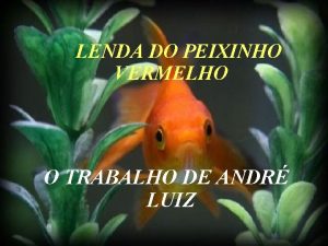 LENDA DO PEIXINHO VERMELHO O TRABALHO DE ANDR