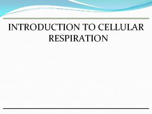 INTRODUCTION TO CELLULAR RESPIRATION Photosynthesis and Cellular Respiration