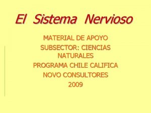 El Sistema Nervioso MATERIAL DE APOYO SUBSECTOR CIENCIAS